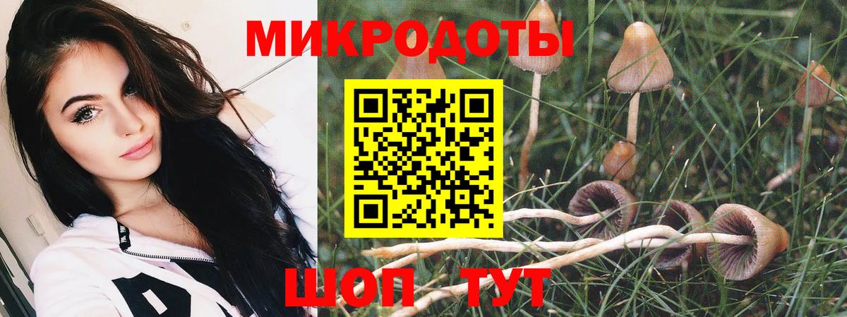 Галлюциногенные грибы MAGIC MUSHROOMS Медногорск